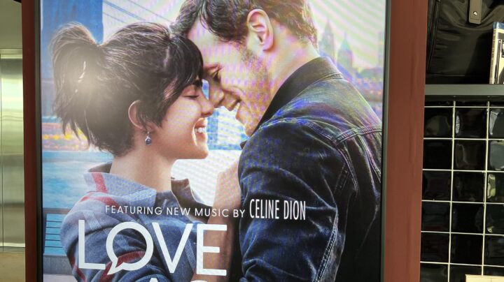 ‘De Nomade’ - Anya Niewierra - Boeken-cast.nl